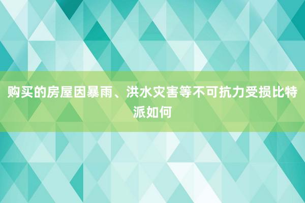 购买的房屋因暴雨、洪水灾害等不可抗力受损比特派如何