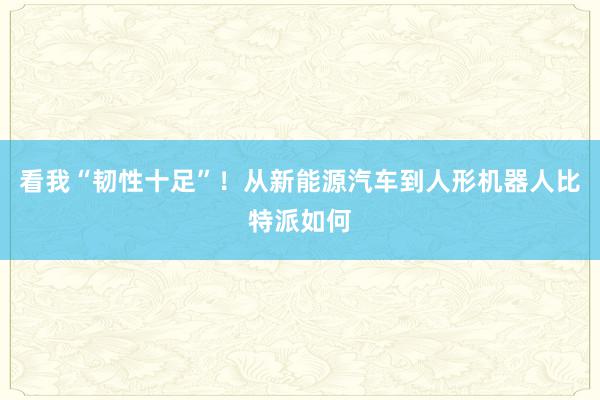 看我“韧性十足”！从新能源汽车到人形机器人比特派如何