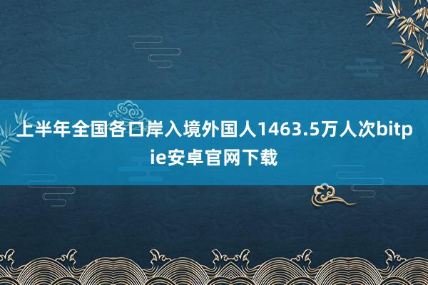 上半年全国各口岸入境外国人1463.5万人次bitpie安卓官网下载