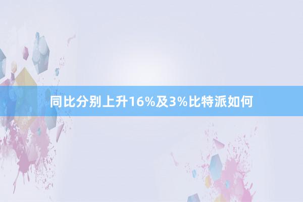 同比分别上升16%及3%比特派如何