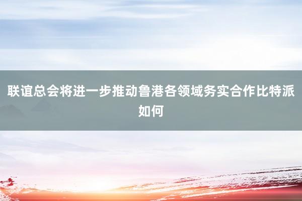 联谊总会将进一步推动鲁港各领域务实合作比特派如何