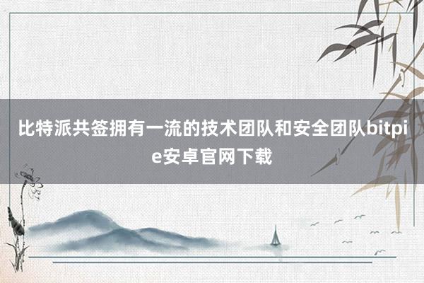 比特派共签拥有一流的技术团队和安全团队bitpie安卓官网下载