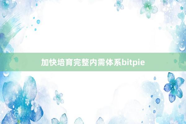 加快培育完整内需体系bitpie