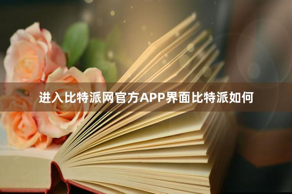 进入比特派网官方APP界面比特派如何