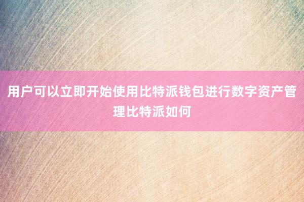 用户可以立即开始使用比特派钱包进行数字资产管理比特派如何