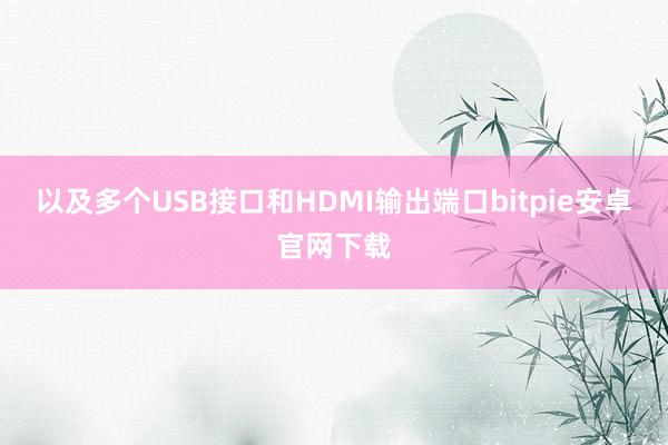 以及多个USB接口和HDMI输出端口bitpie安卓官网下载