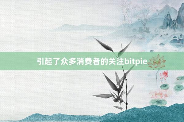 引起了众多消费者的关注bitpie