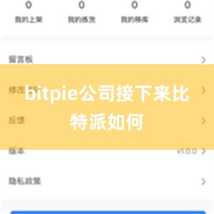 bitpie公司接下来比特派如何