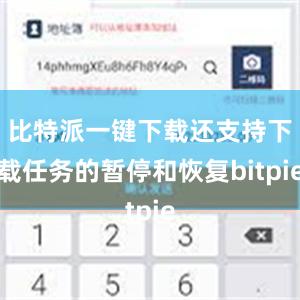 比特派一键下载还支持下载任务的暂停和恢复bitpie