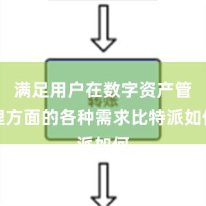 满足用户在数字资产管理方面的各种需求比特派如何