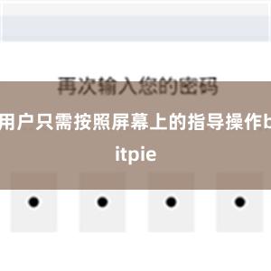 用户只需按照屏幕上的指导操作bitpie